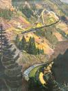Plakat. - Badische Schwarzwaldbahn - bis zum Bodensee - Die schönste Gebirgsbahn