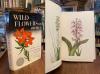 Rickett, Wild Flowers of America : 400 flowers in full color from paintings by M